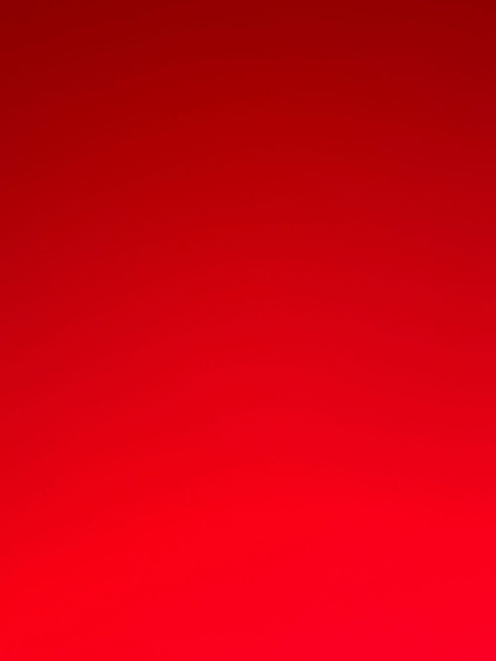 the_phoenician_king OnlyFans profile picture