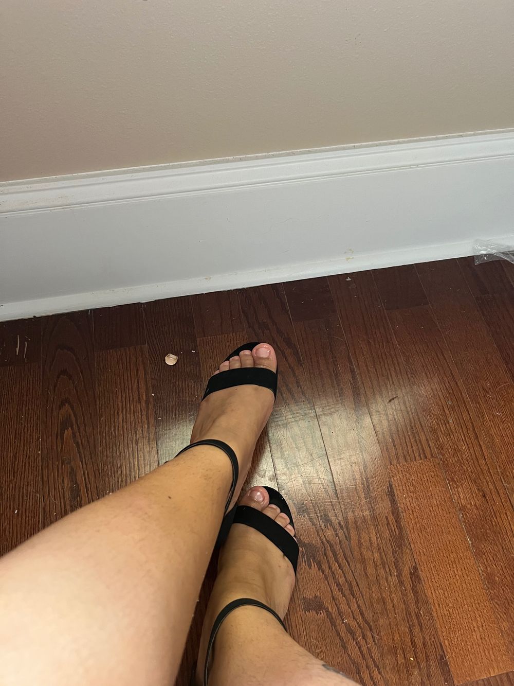 lexisfeetpage OnlyFans profile picture