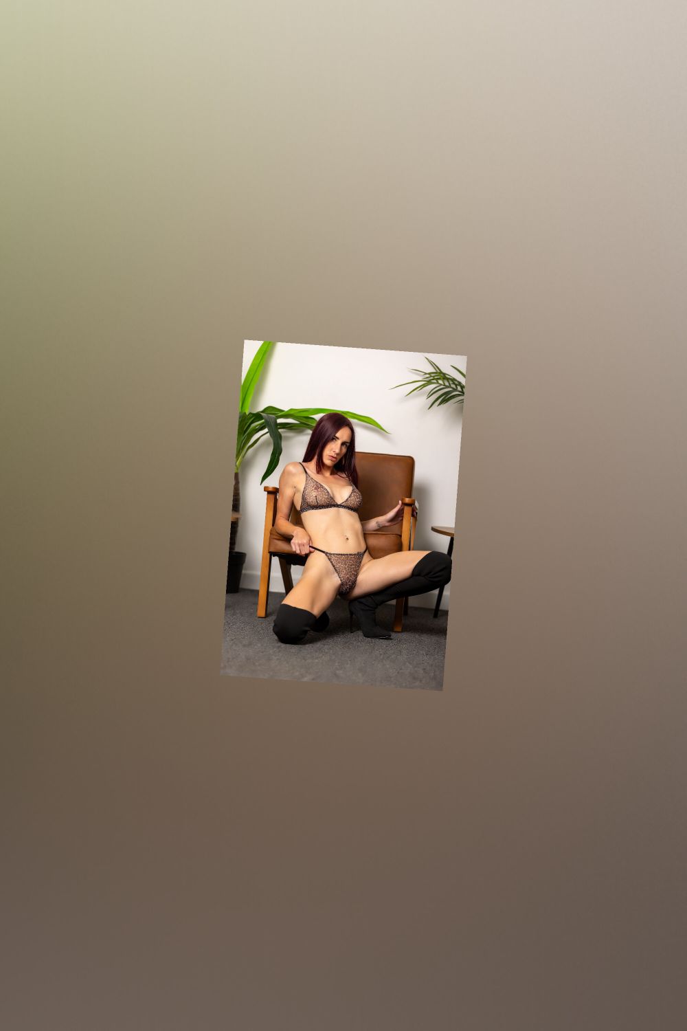 lissy_lou OnlyFans profile picture