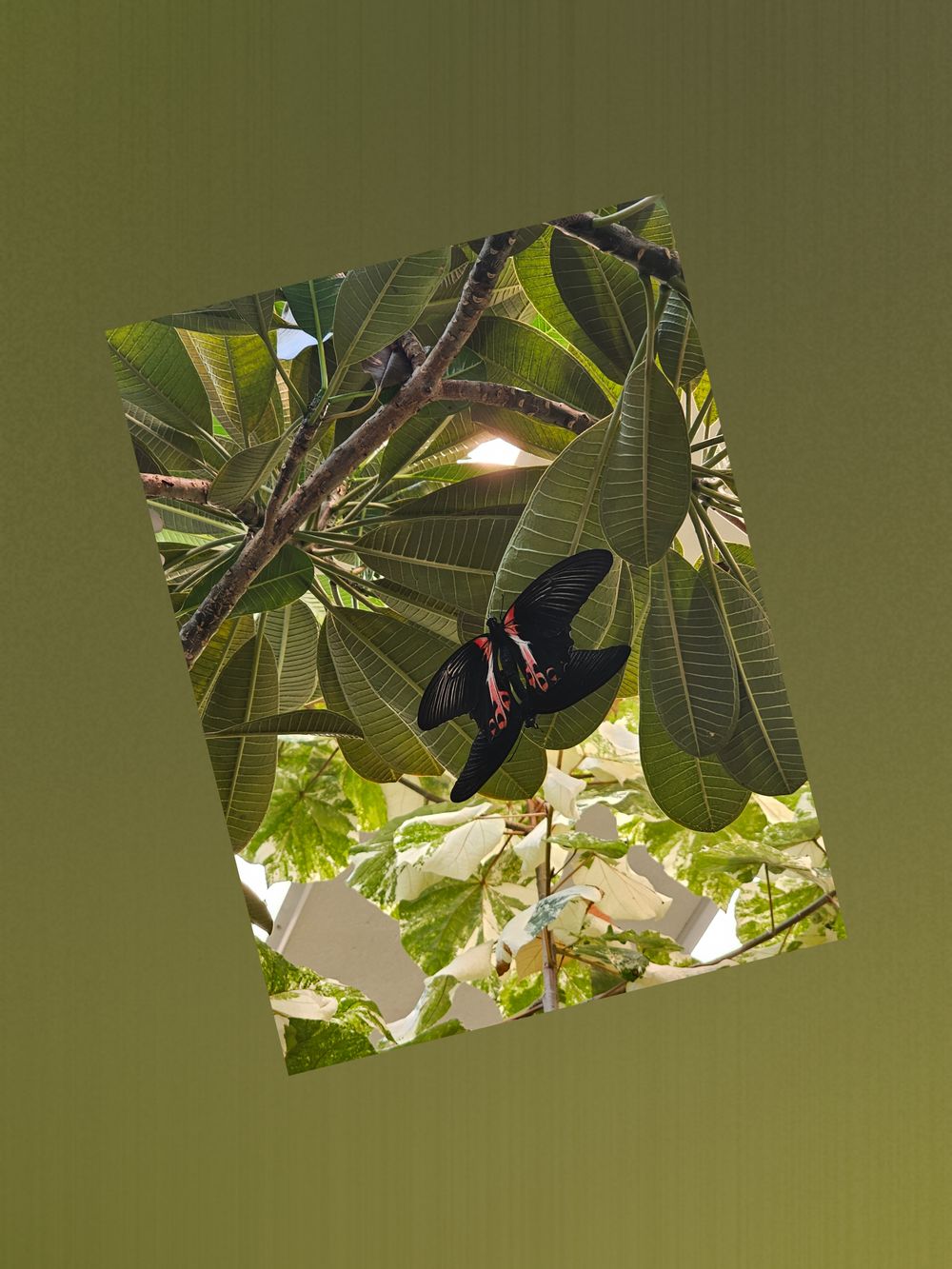 destiny0.0 OnlyFans profile picture