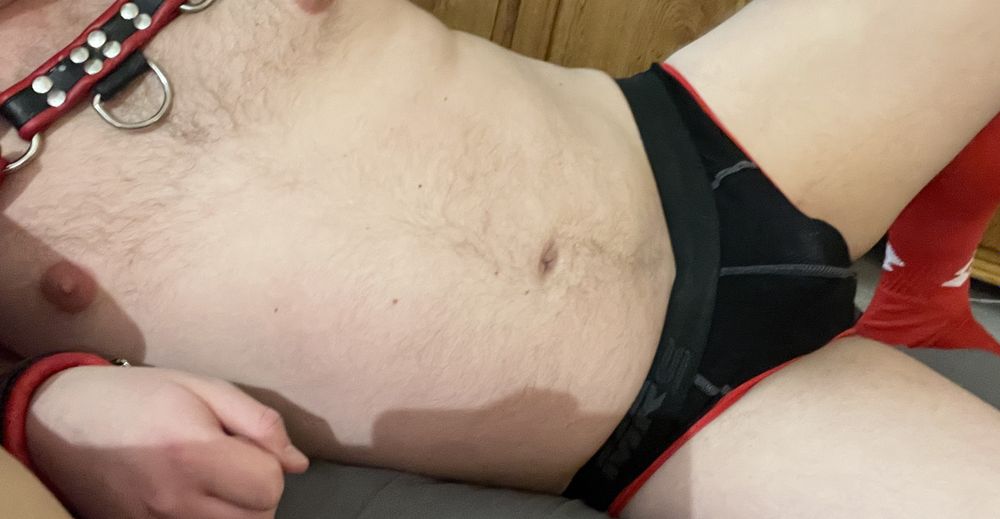 stanleybear OnlyFans profile picture