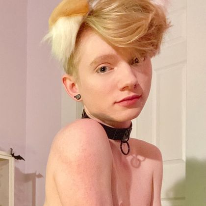 pawprintprince OnlyFans picture