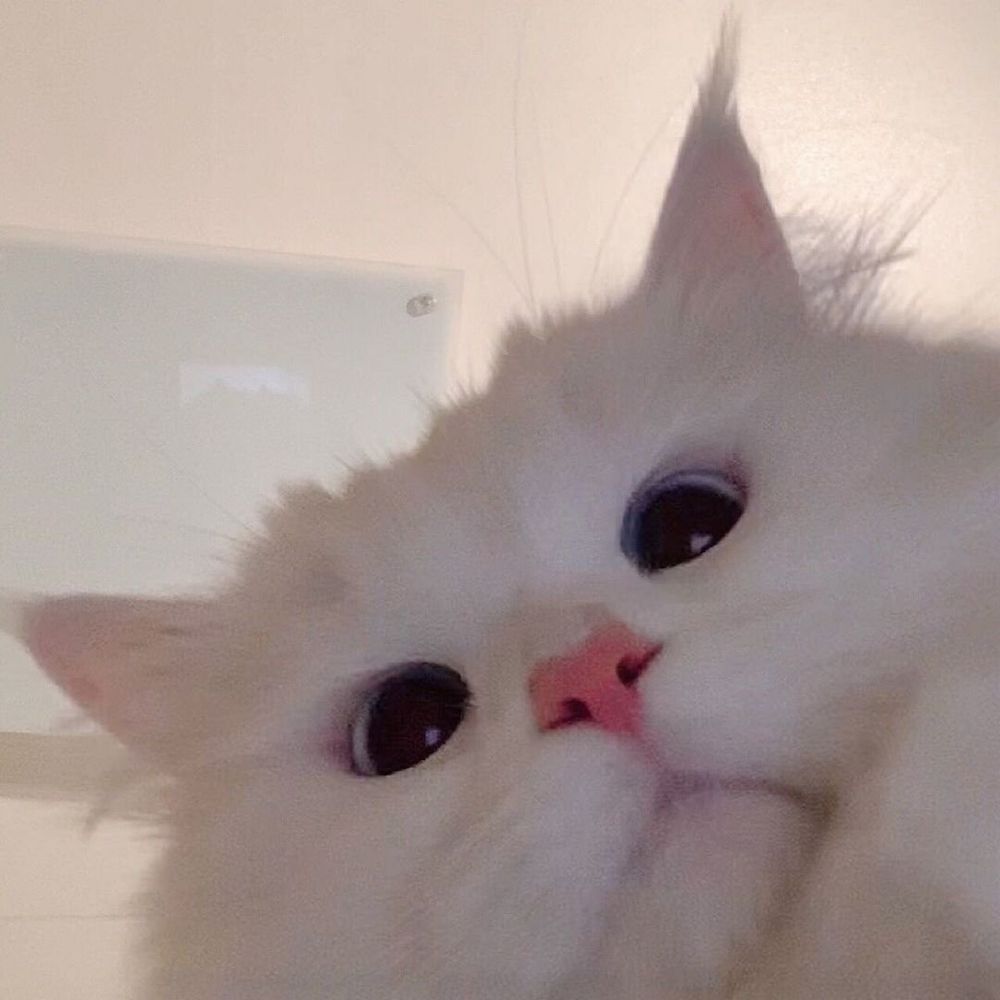 susanrs OnlyFans profile picture
