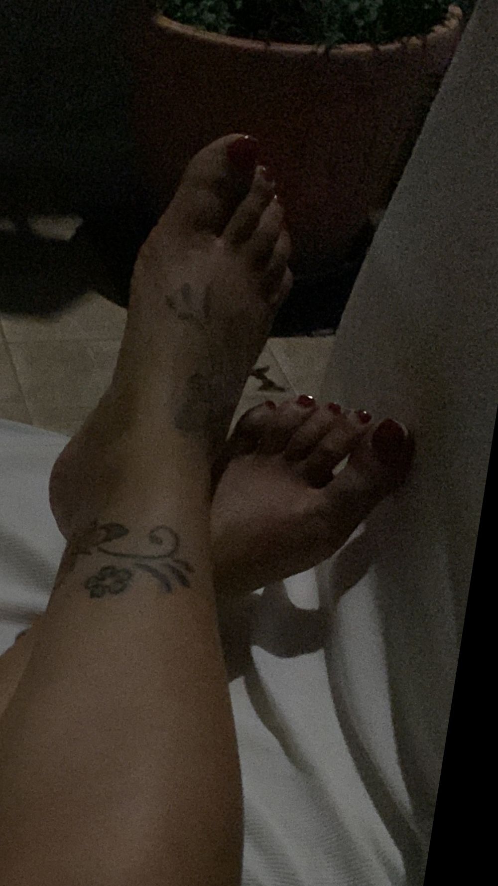 u209271390 OnlyFans profile picture