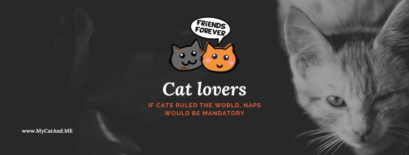 catsgrumpy OnlyFans profile picture