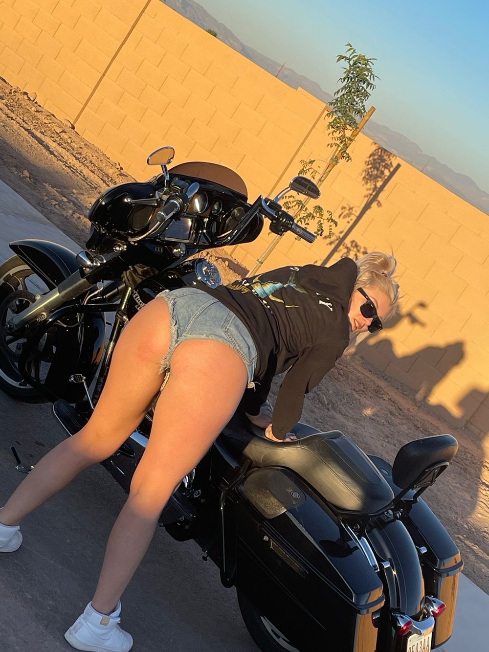 harperjones669 OnlyFans profile picture