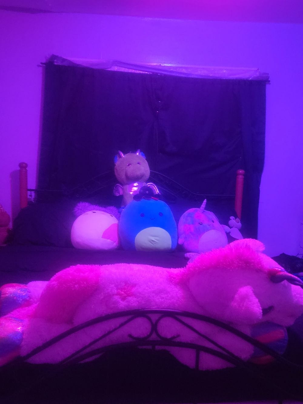 raggedqueen OnlyFans profile picture