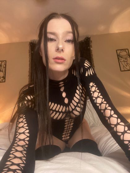 indigobay OnlyFans picture