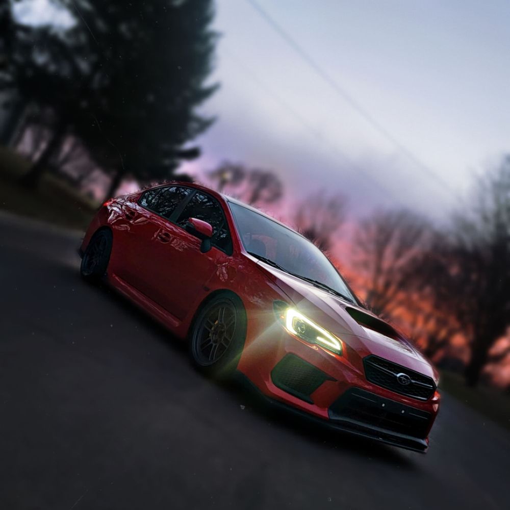 wiiildrose OnlyFans profile picture