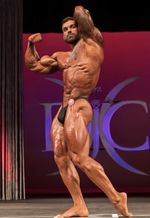 testosteronesandwich OnlyFans - Free Trial - Photos - Socials ...