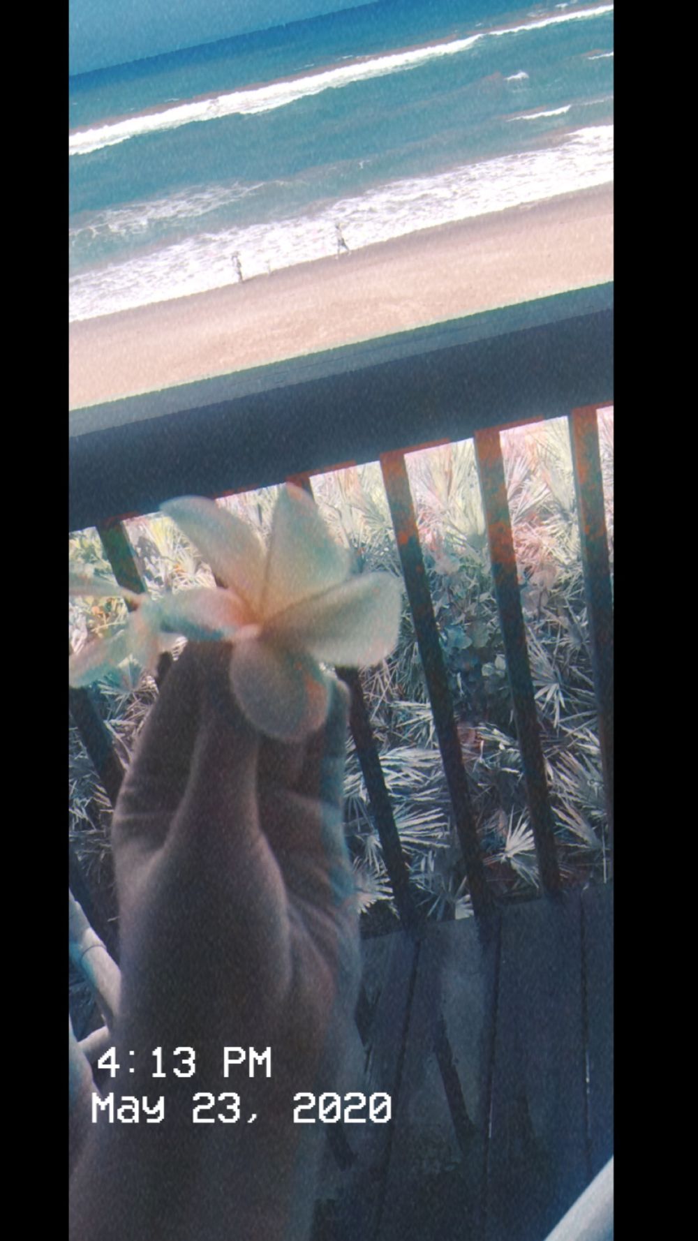 alohababy99 OnlyFans profile picture