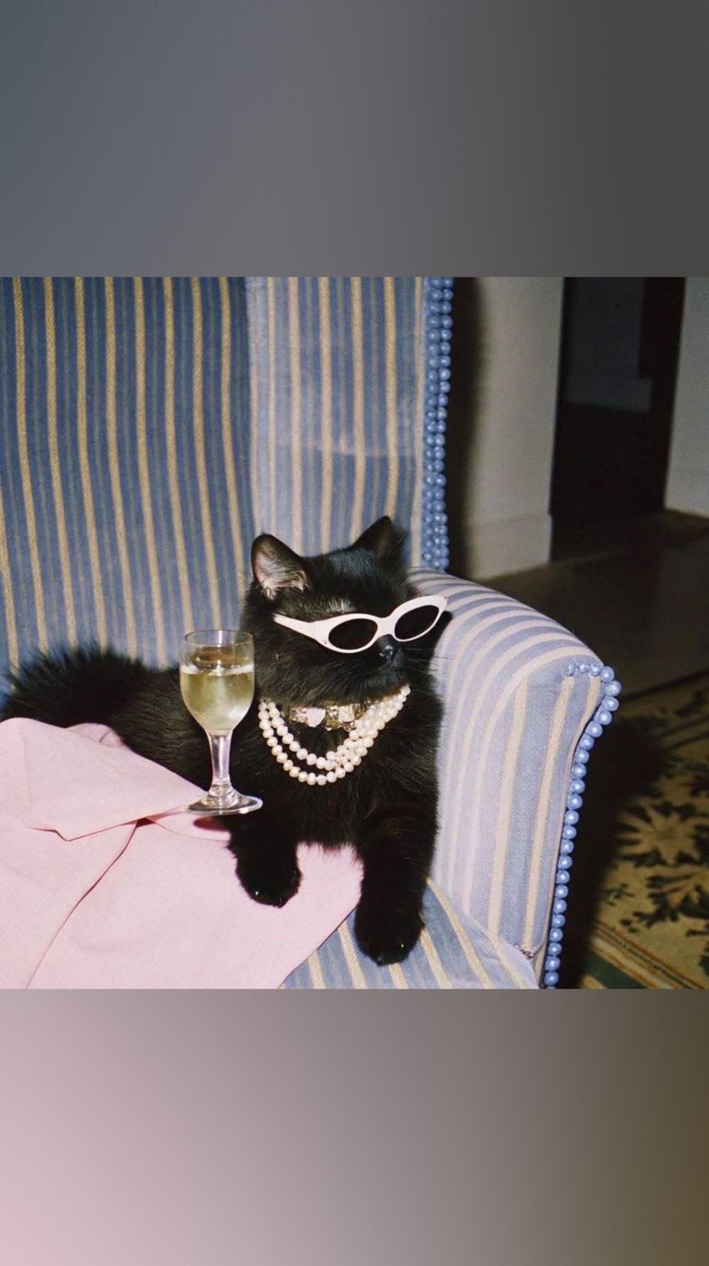 91rare OnlyFans profile picture