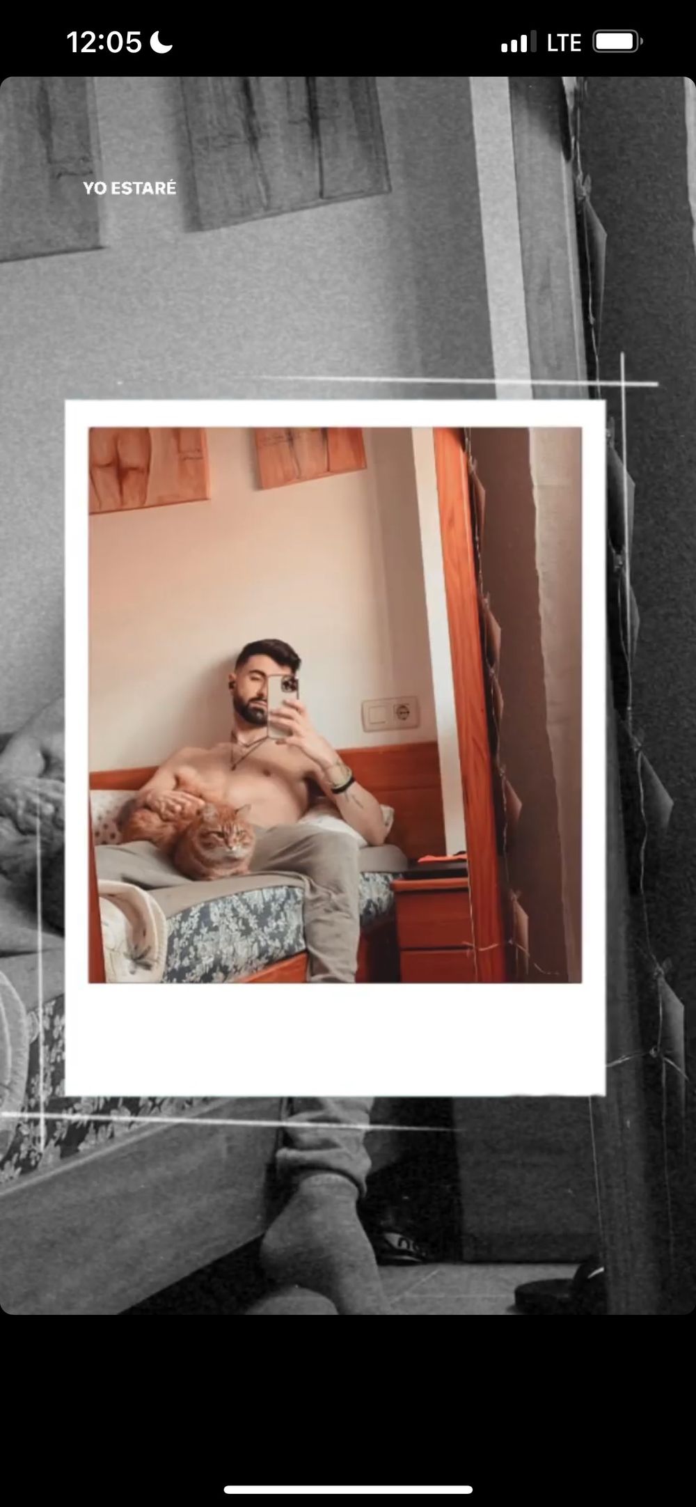 gatonocturno19 OnlyFans profile picture