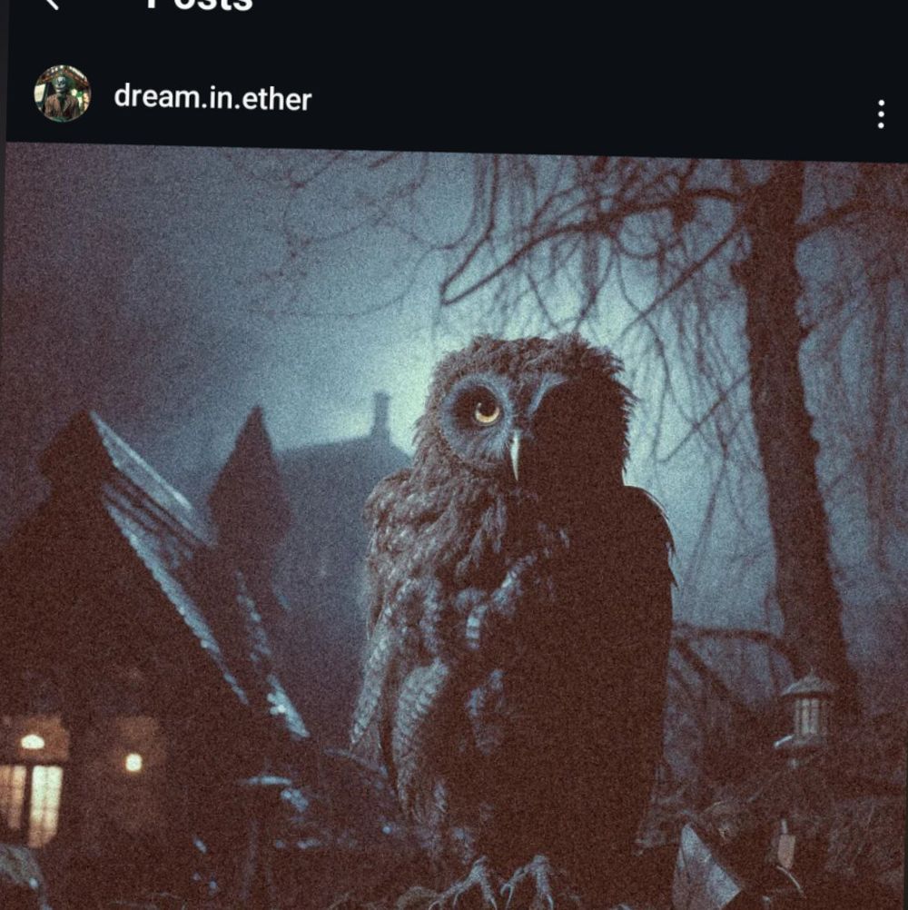 jja_y OnlyFans profile picture