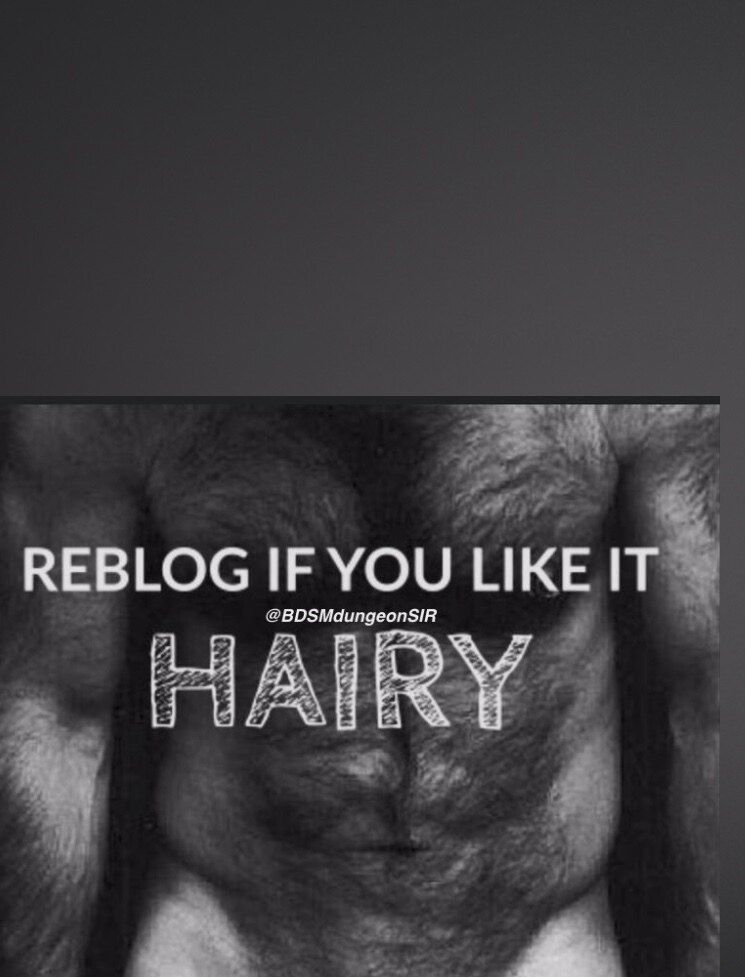 bigrob8540 OnlyFans profile picture