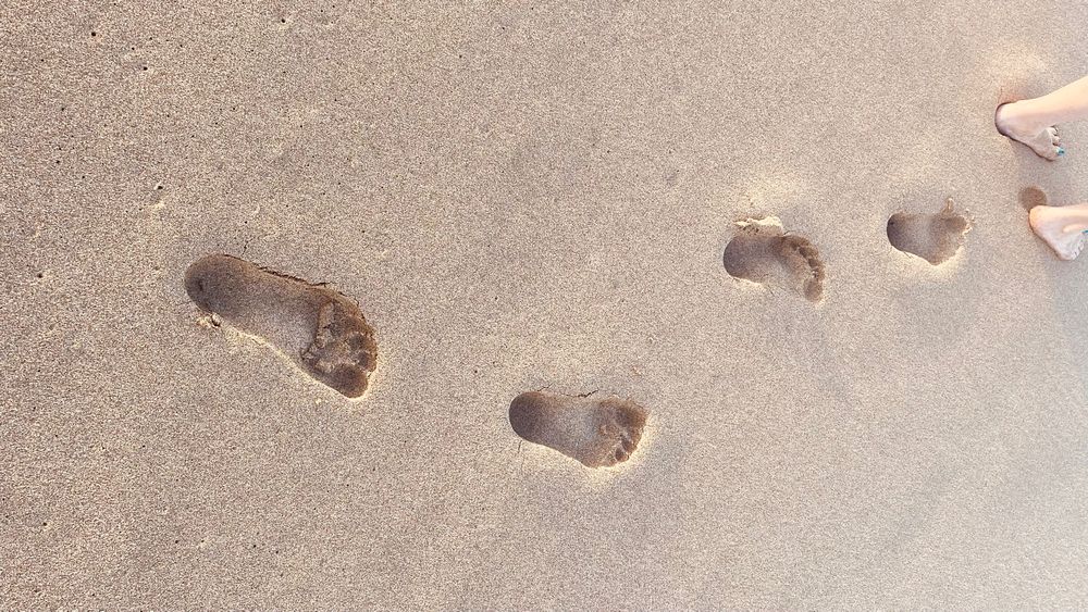 sandyfeetgoddess OnlyFans profile picture
