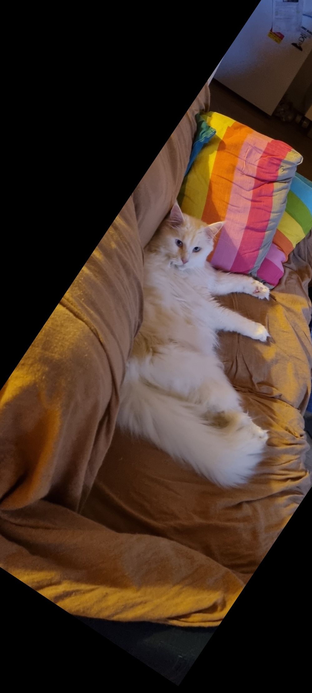 po-t8-hoe OnlyFans profile picture