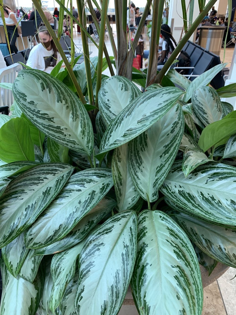 onlyplants2 OnlyFans profile picture