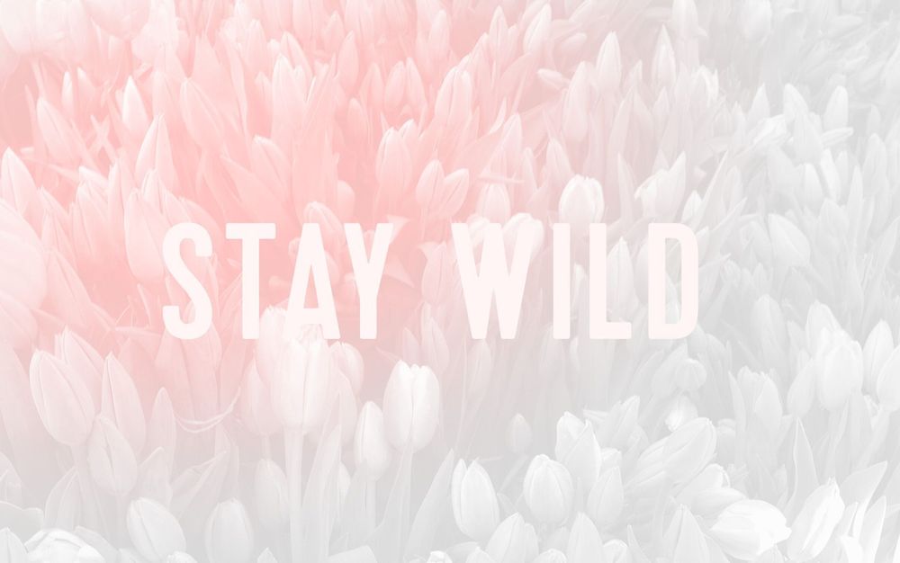 sweet_wild OnlyFans profile picture