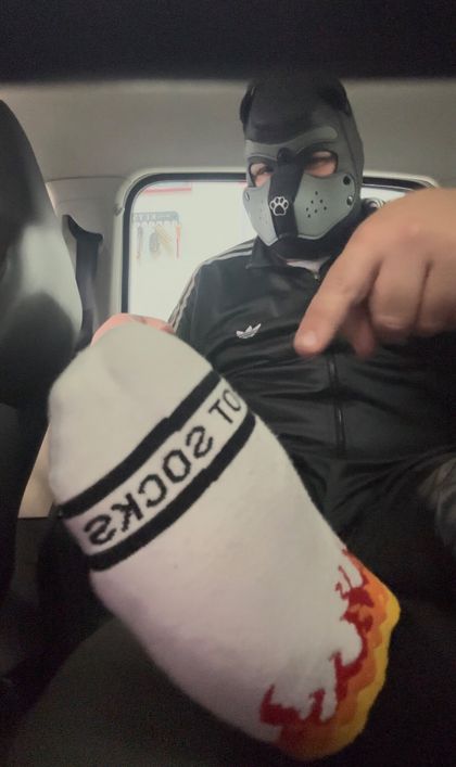 worshipmybellynsoles OnlyFans picture