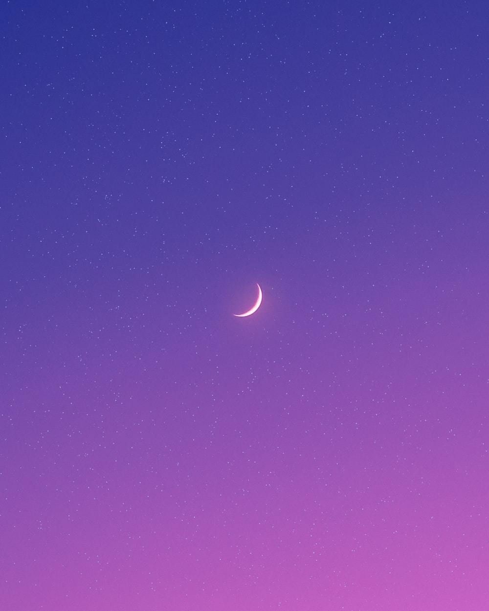 luxxxlucid OnlyFans profile picture