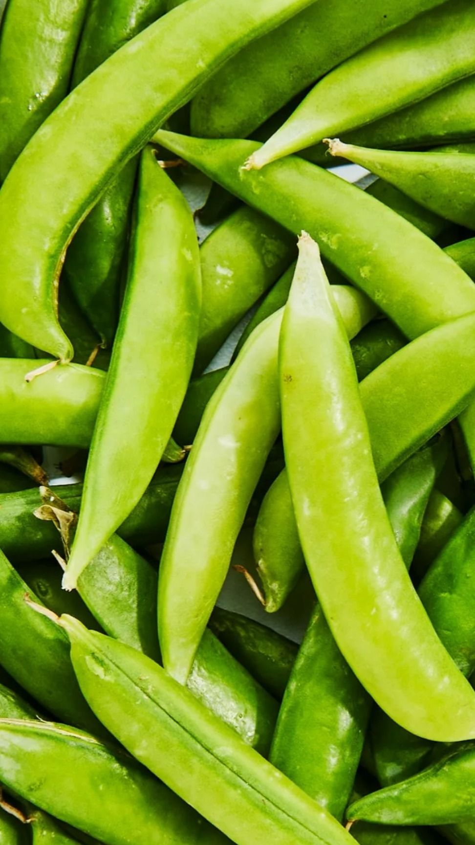 sugarpeas21 OnlyFans profile picture