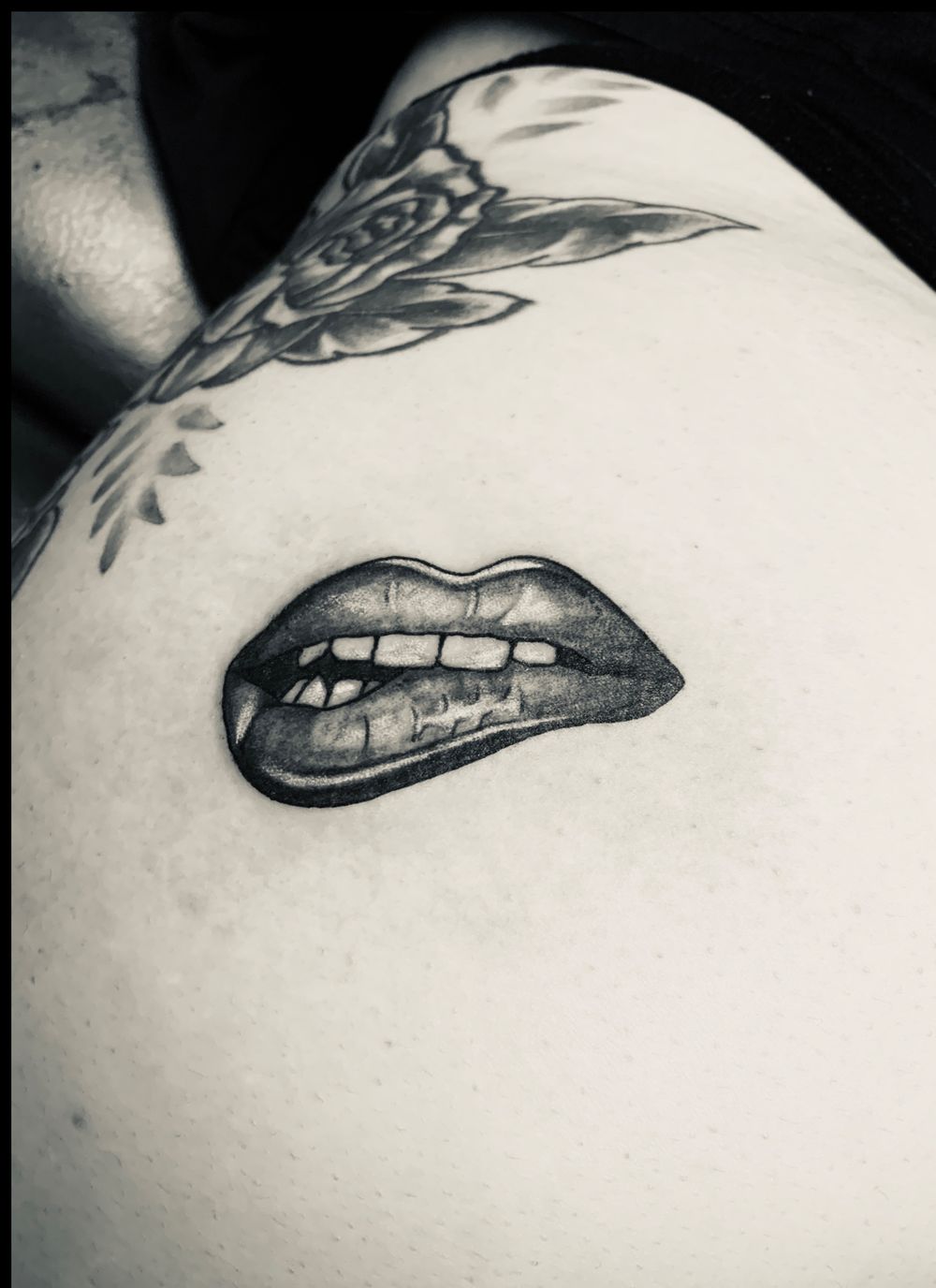 stephanie-layne OnlyFans profile picture