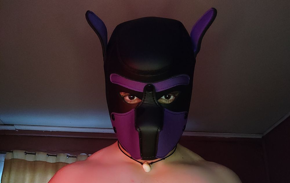 wolf_gabriel000 OnlyFans profile picture
