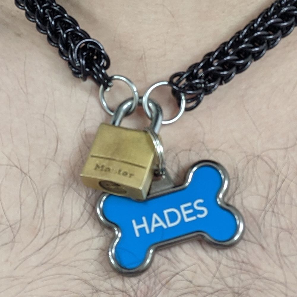 puphades0 OnlyFans profile picture