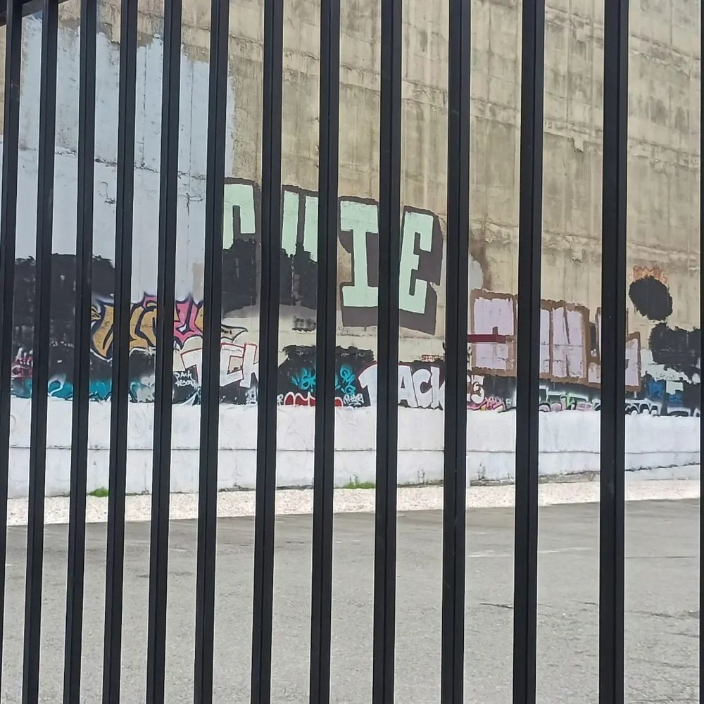 iamhavenmoss OnlyFans - Free Trial - XXX Photos | FansMetrics.com