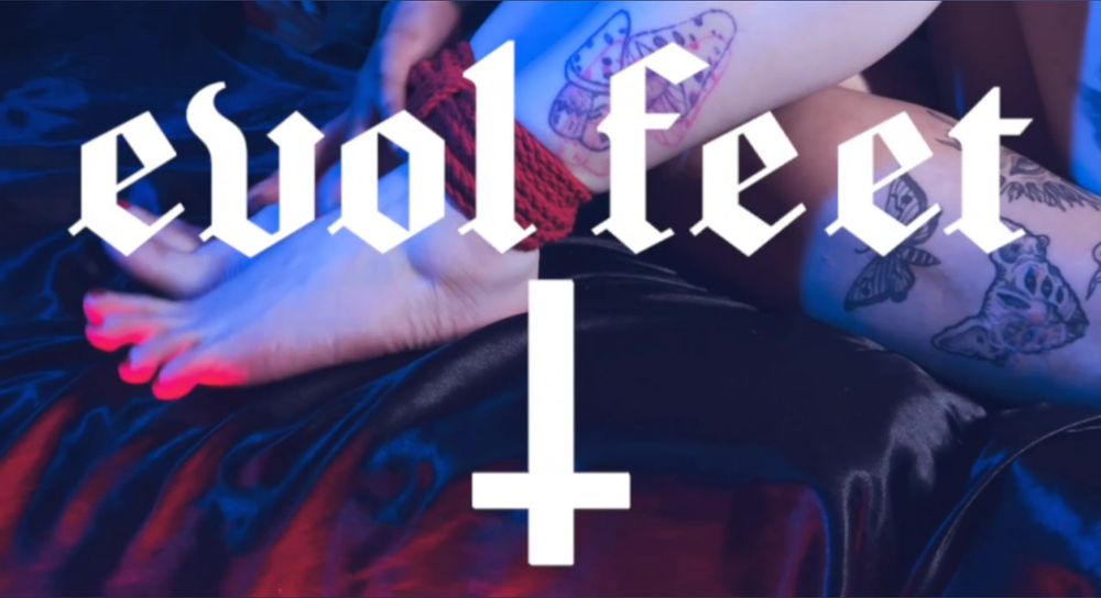 evolfeet OnlyFans profile picture