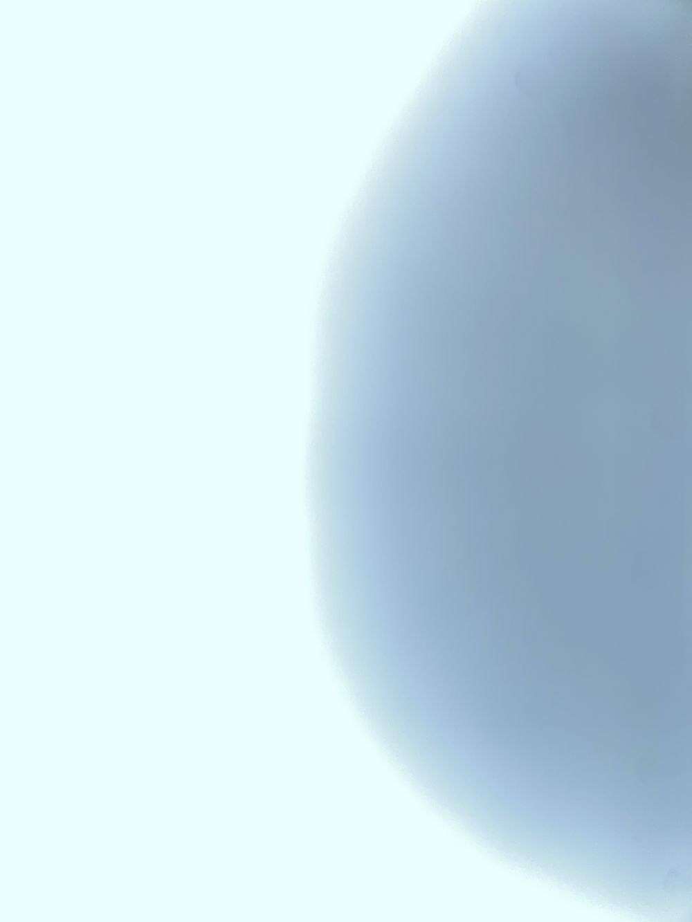 leyalliah OnlyFans profile picture