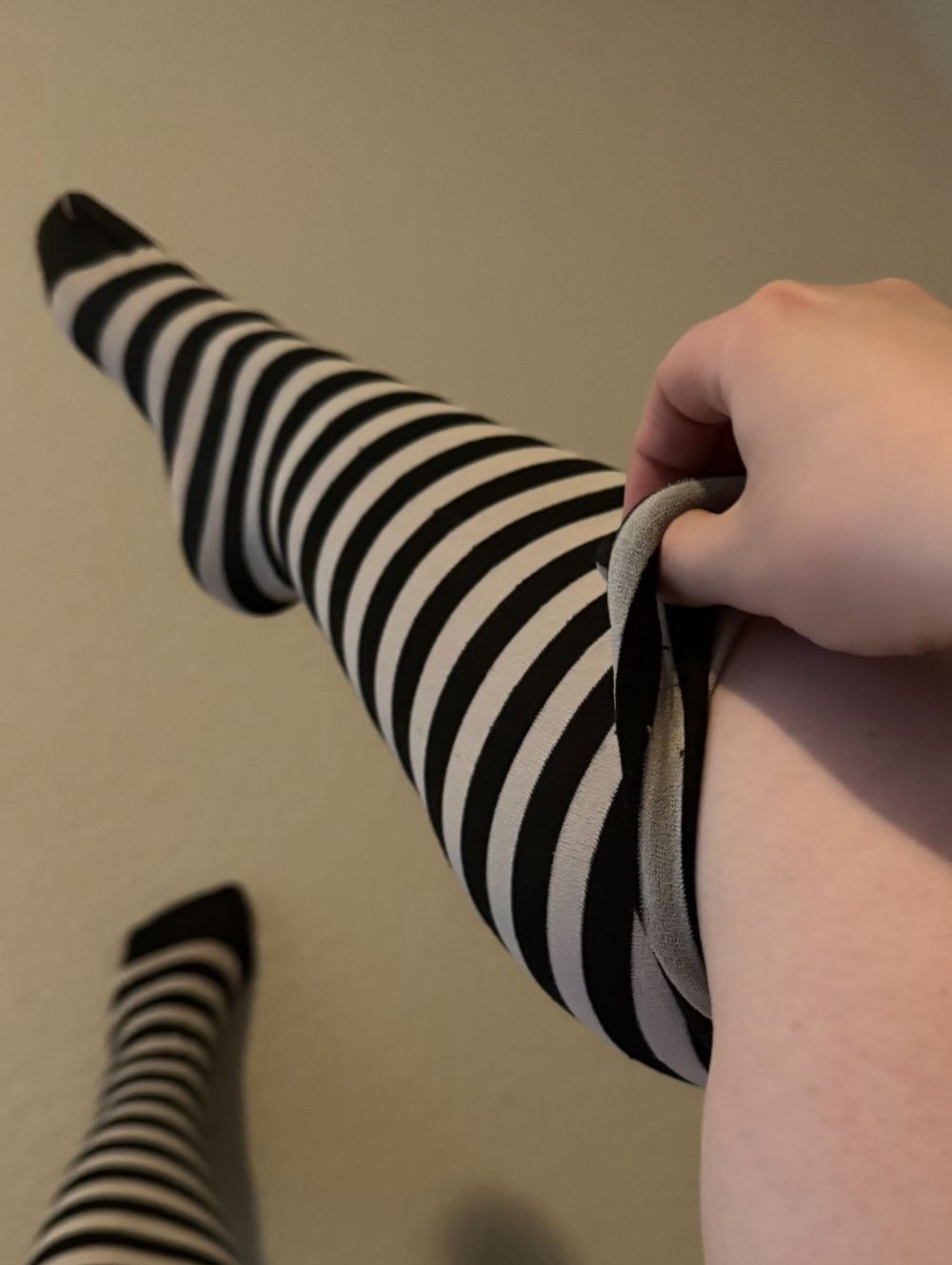 lovelymagnoliaxoxo OnlyFans profile picture