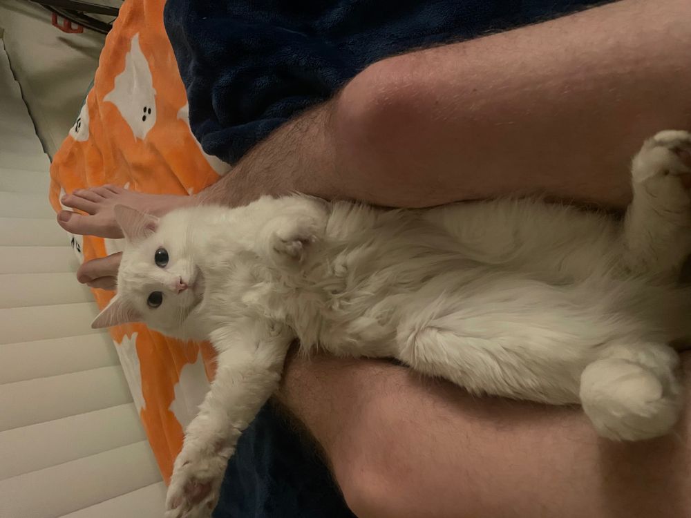 fluffpunk OnlyFans profile picture