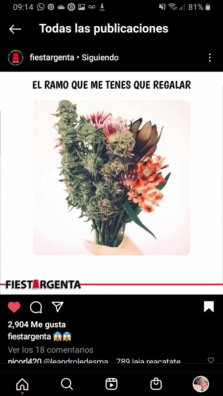 u168839345 OnlyFans profile picture