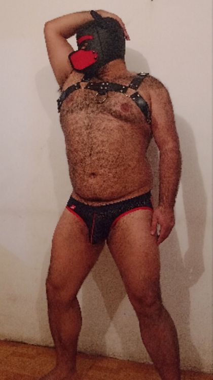 osoactivoverst1 OnlyFans picture