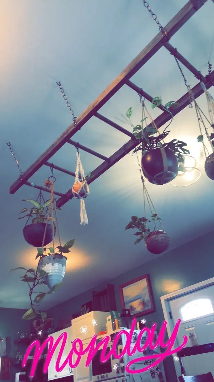succulent_zoe OnlyFans profile picture