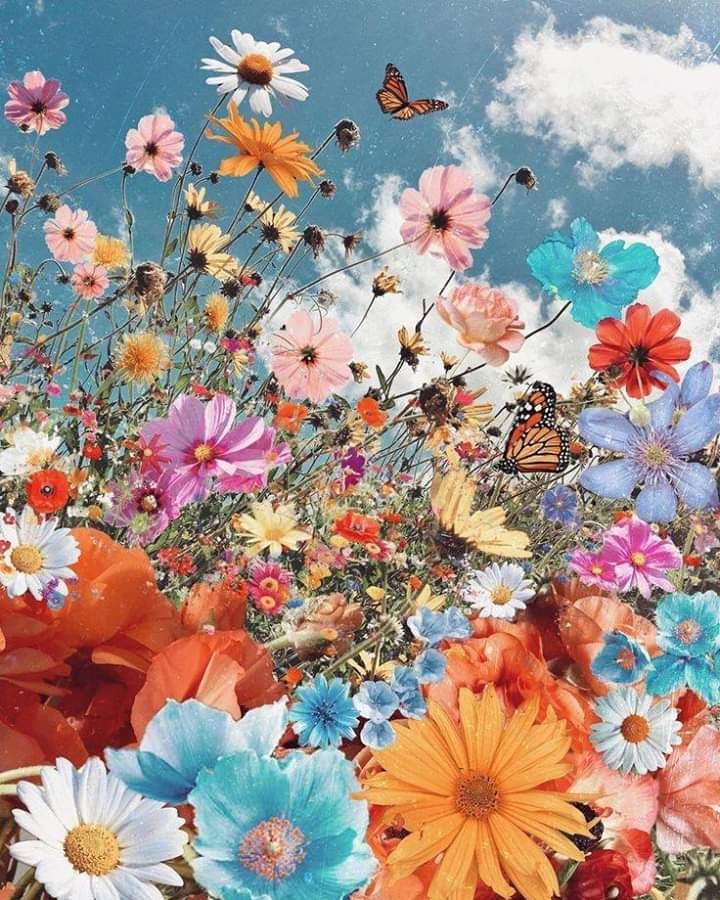 thelovely_dawn OnlyFans - Stats, Graphs, Photos & Profile Comparisons