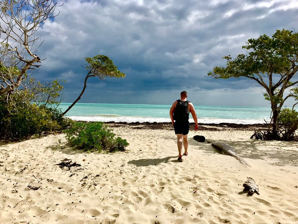 navyjack OnlyFans - Stats, Graphs, Photos & Profile Comparisons