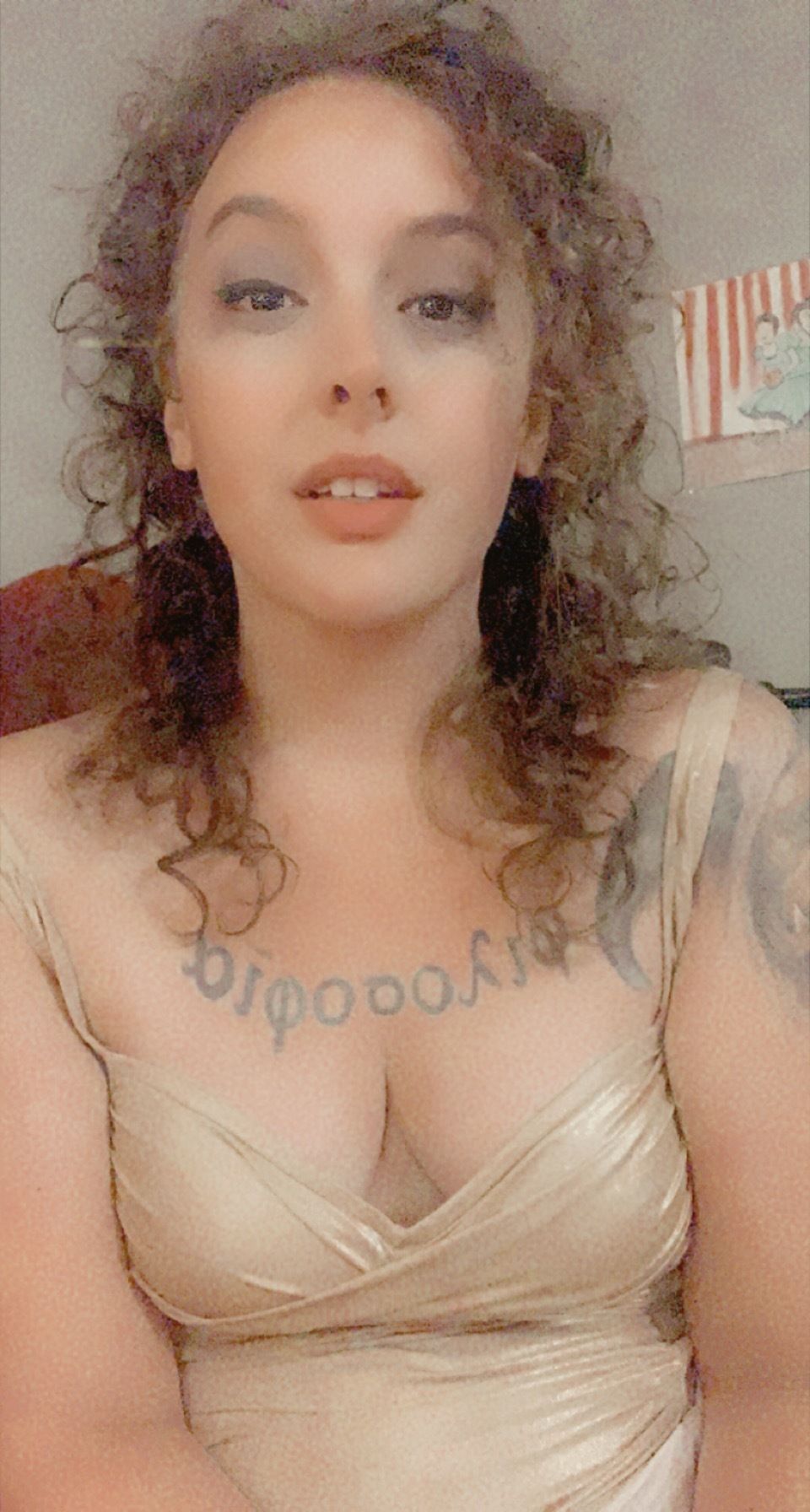 fandoola OnlyFans profile picture