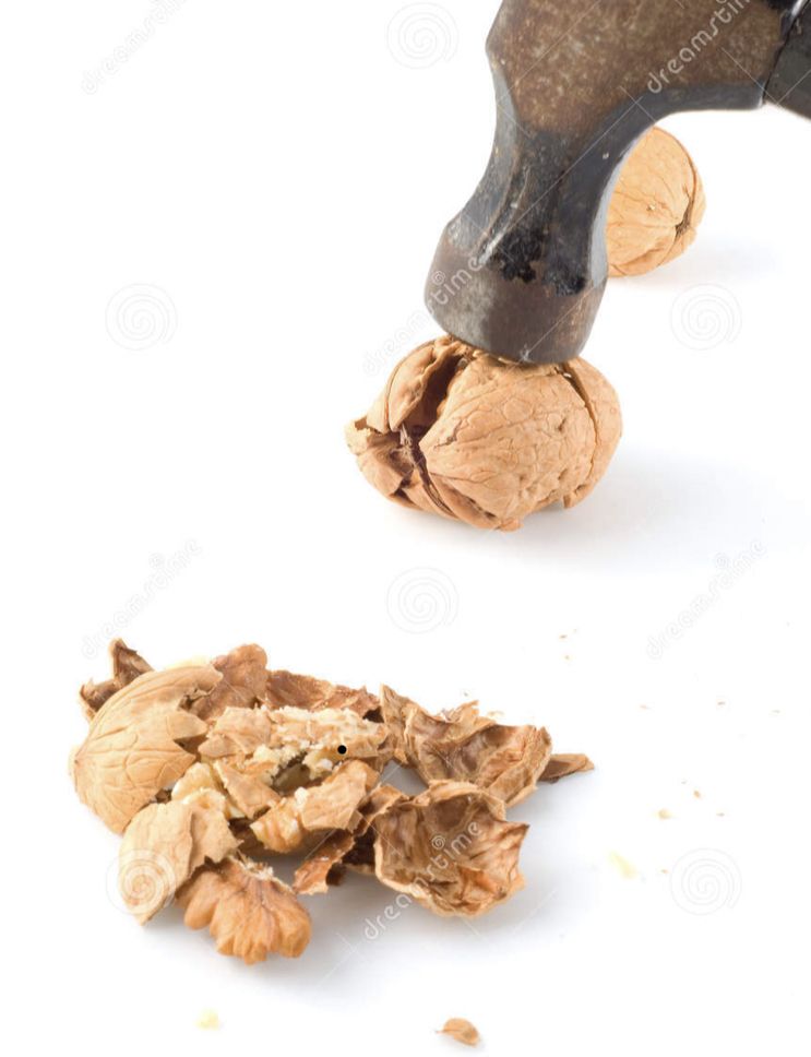 tippysosavage OnlyFans profile picture