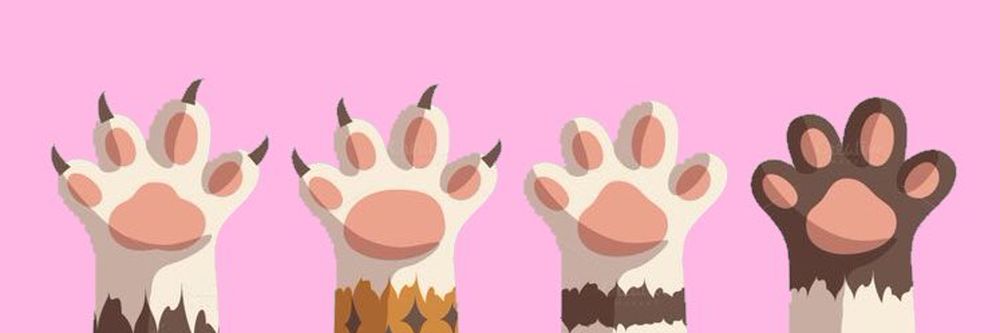 prettypawsss OnlyFans profile picture
