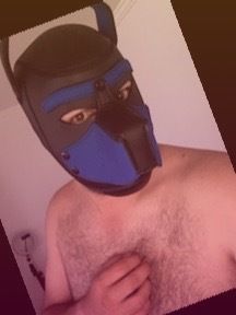 puppy_araya94 OnlyFans picture
