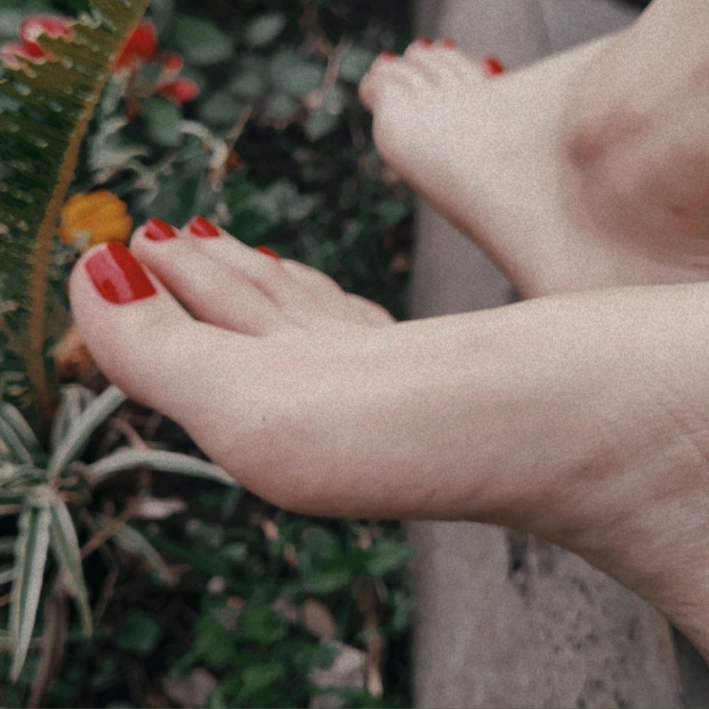 panfeet OnlyFans profile picture