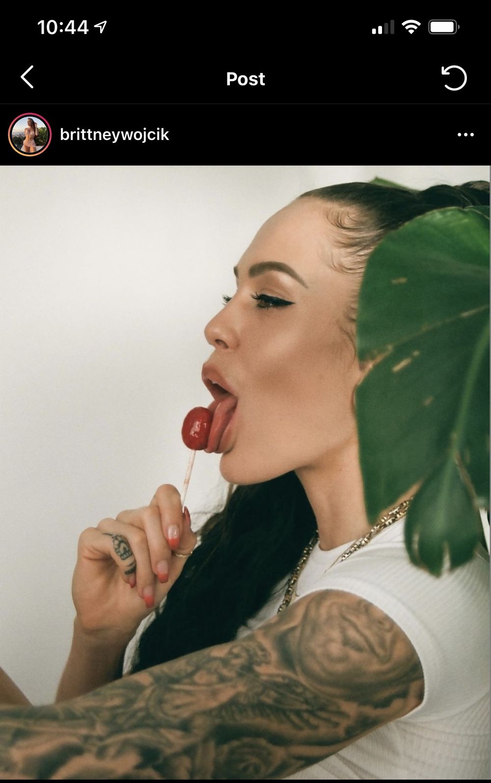 tongueexpert OnlyFans profile picture