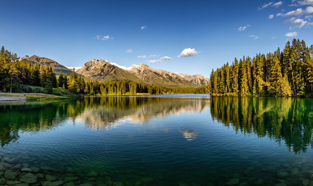 jessedpoole OnlyFans profile picture