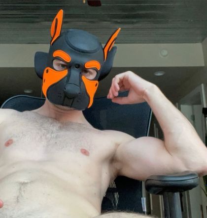 pupweaver OnlyFans picture