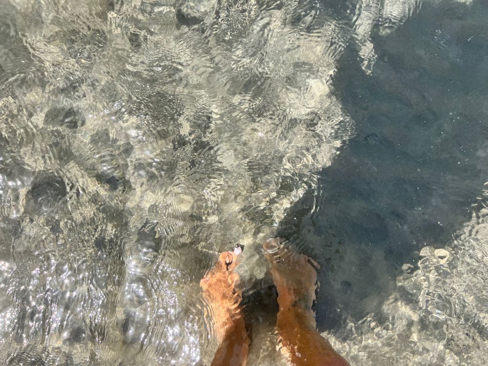 piesdeunafemina OnlyFans profile picture