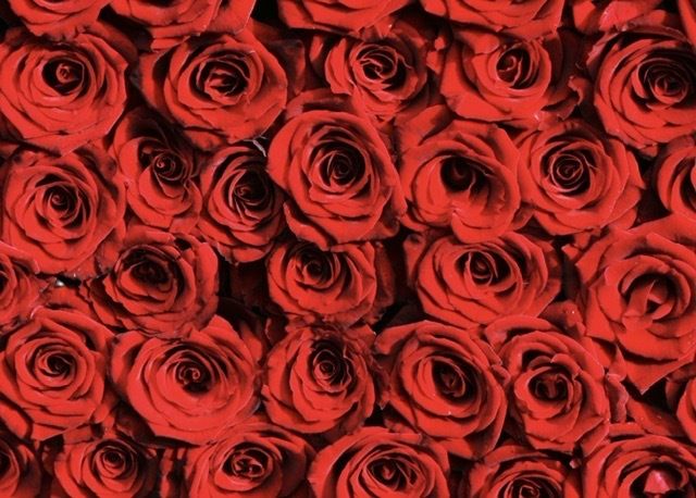 natashaa.bankss OnlyFans profile picture