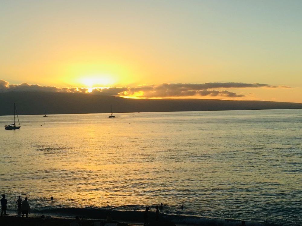 somecoolguy253 OnlyFans profile picture